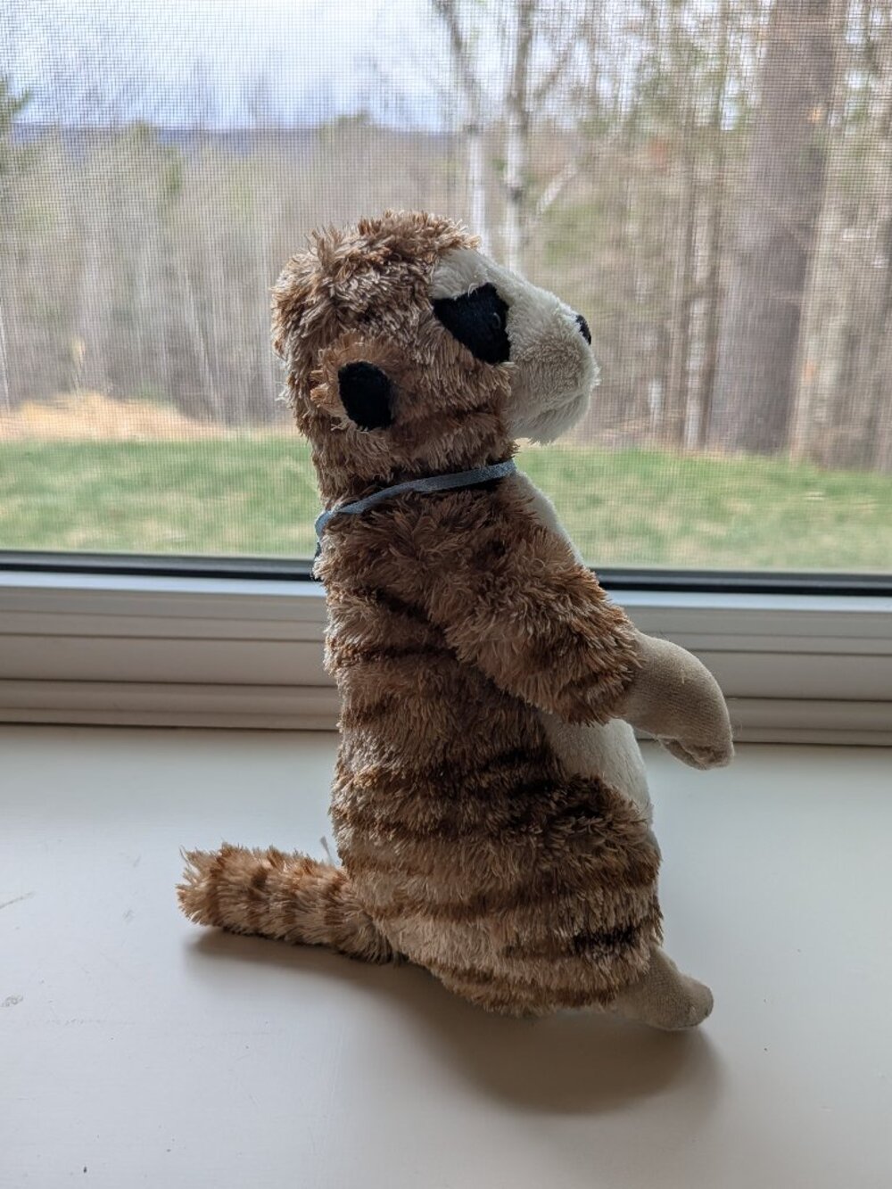 Webkinz - Meerkat - no code - Picture 2 of 3